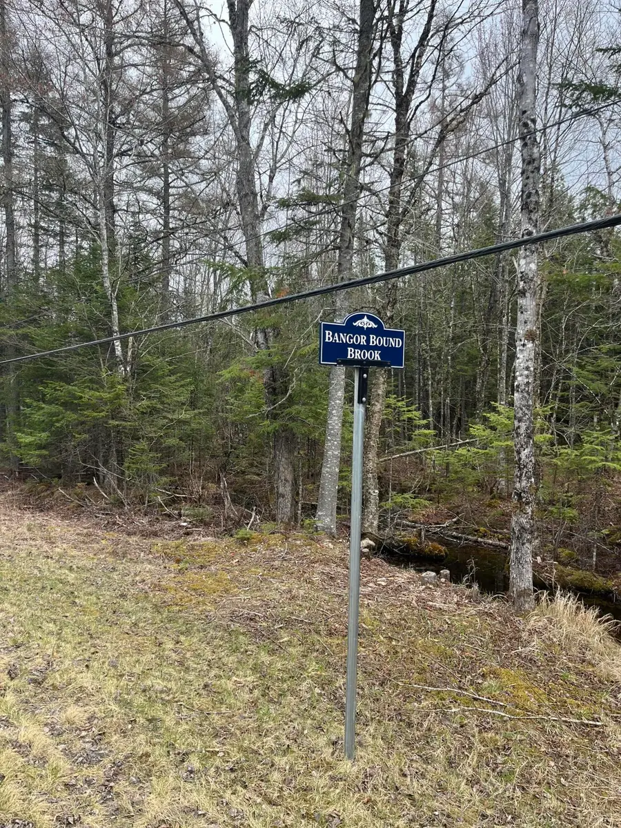 M6L10 Boundary Road, Orient, ME 04471 - #3