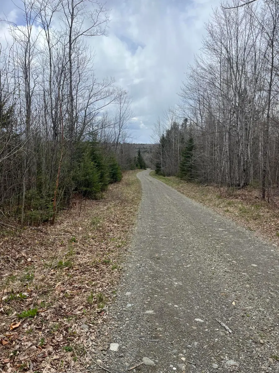 M6L1 Church Lane, Weston, ME 04424 - #3