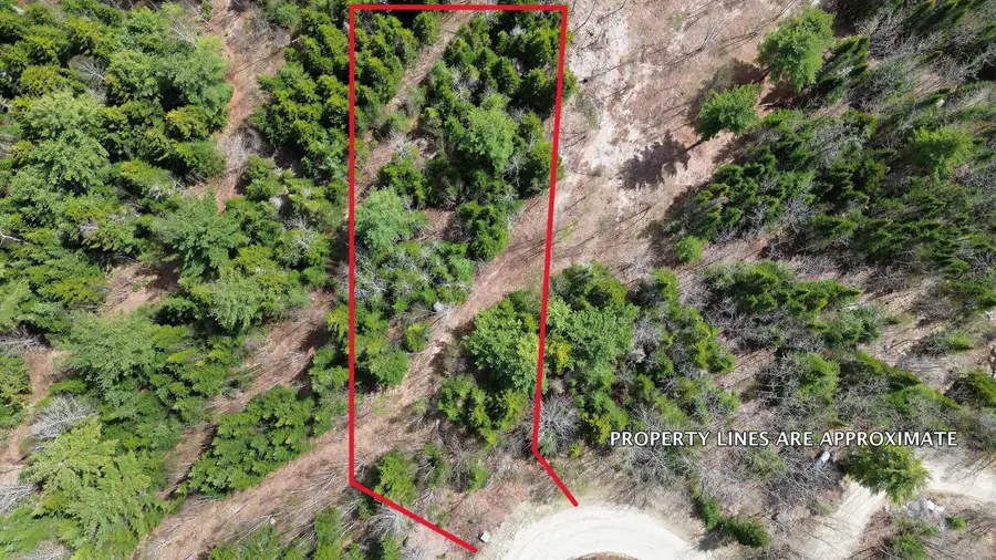 Lot 11 Bailey Mountain Road, Franklin, ME 04634 - #3