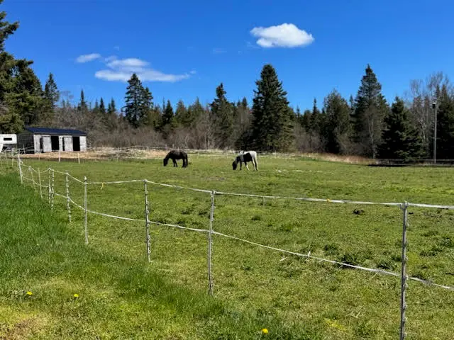 1155 Boot Cove Road, Lubec, ME 04652 - #3