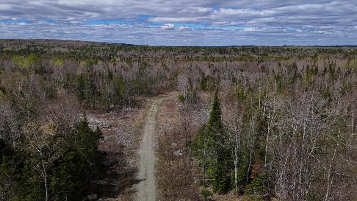 Lot 22 Schoodic Point Road, Medford, ME 04463 - #1