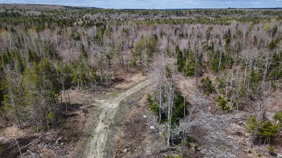 Lot 22 Schoodic Point Road, Medford, ME 04463 - #2