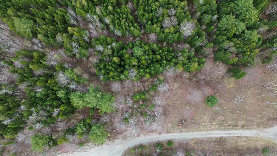 Lot 19 Bailey Mountain Road, Franklin, ME 04634 - #3