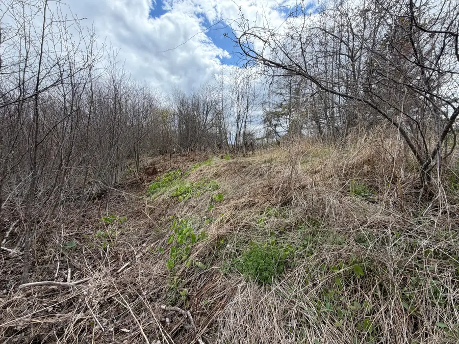 Lot 7 B Road, Houlton, ME 04730 - #3