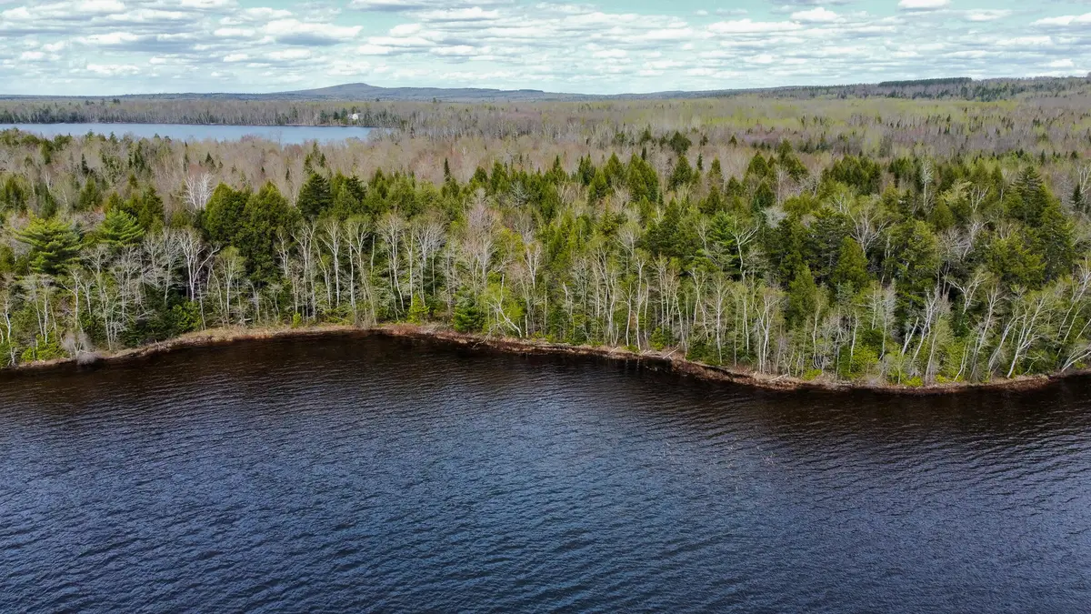 Lot 25 Woodland Ridge Road, Danforth, ME 04424 - #1