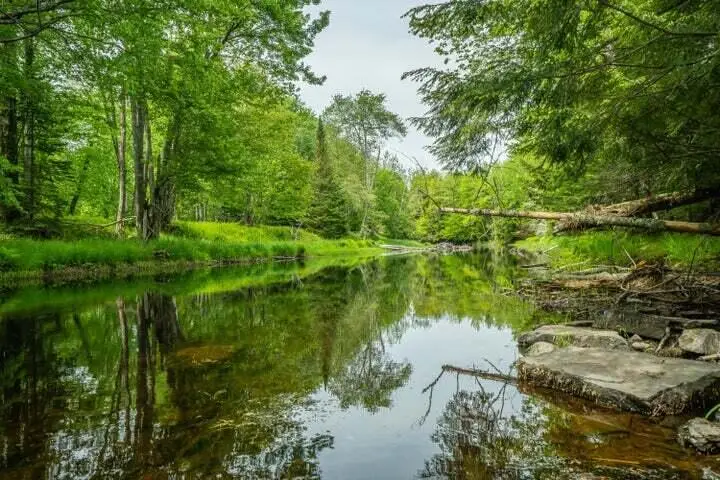 Lot 88-1 Appleton Ridge Road, Searsmont, ME 04973 - #1