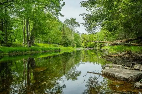 Lot 88-1 Appleton Ridge Road, Searsmont, ME 04973