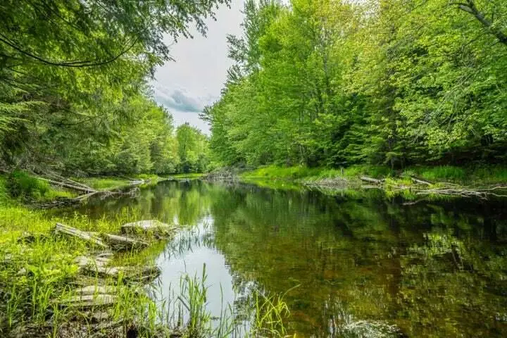 Lot 88-1 Appleton Ridge Road, Searsmont, ME 04973 - #2