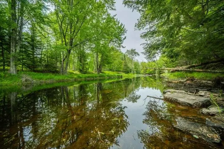 Lot 88-1 Appleton Ridge Road, Searsmont, ME 04973 - #3