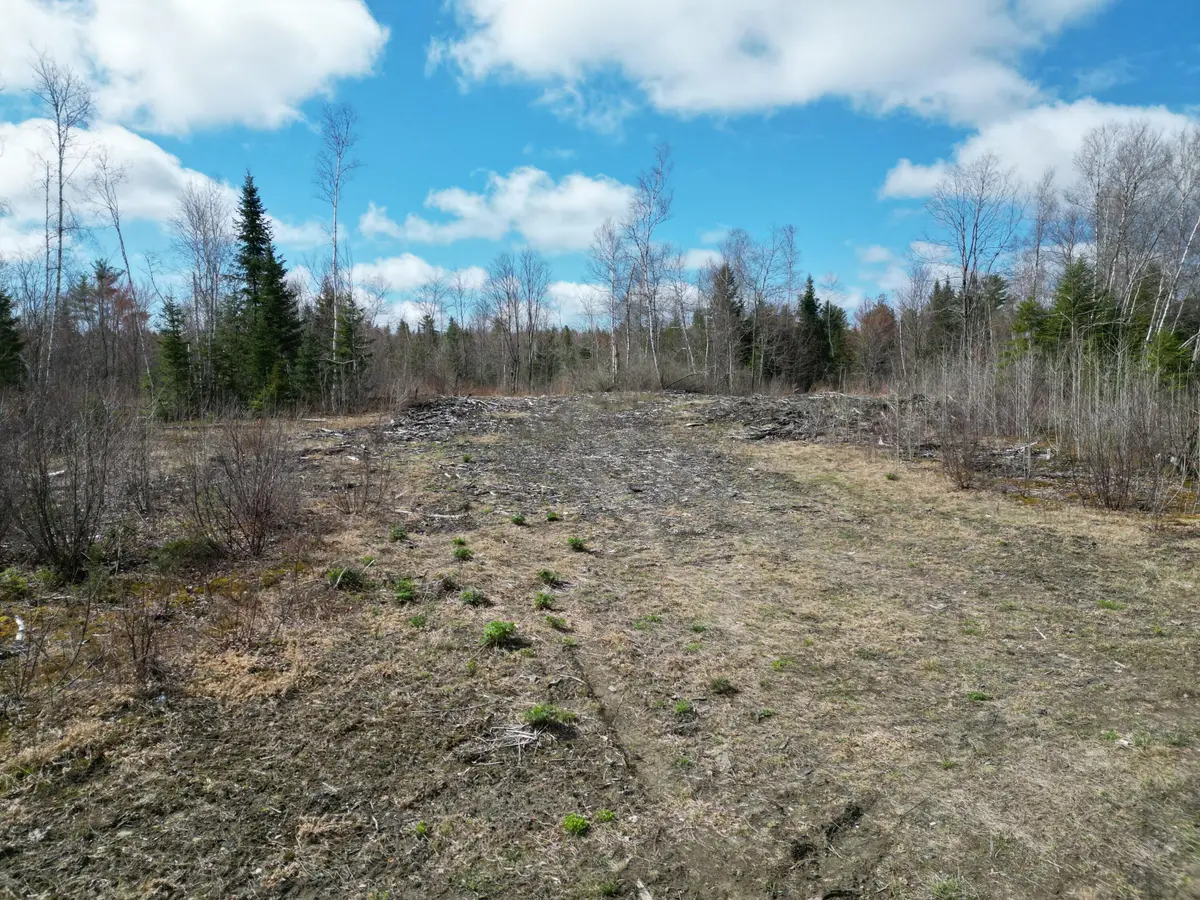 Lot 46I-2 Merriman Road, Island Falls, ME 04747 - #1