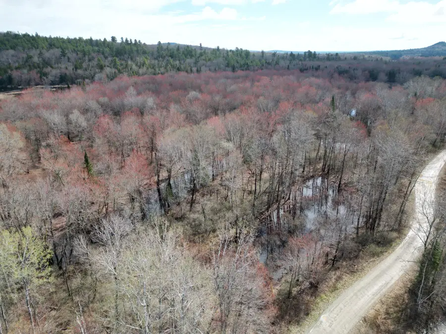 Lot 46I-2 Merriman Road, Island Falls, ME 04747 - #2