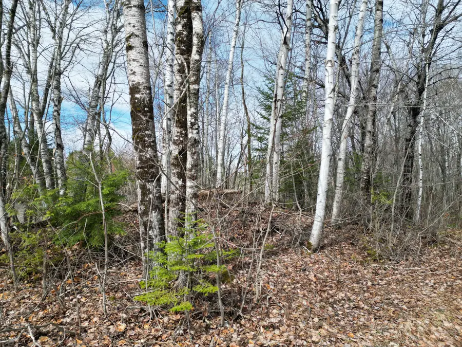 Lot 46I-2 Merriman Road, Island Falls, ME 04747 - #3