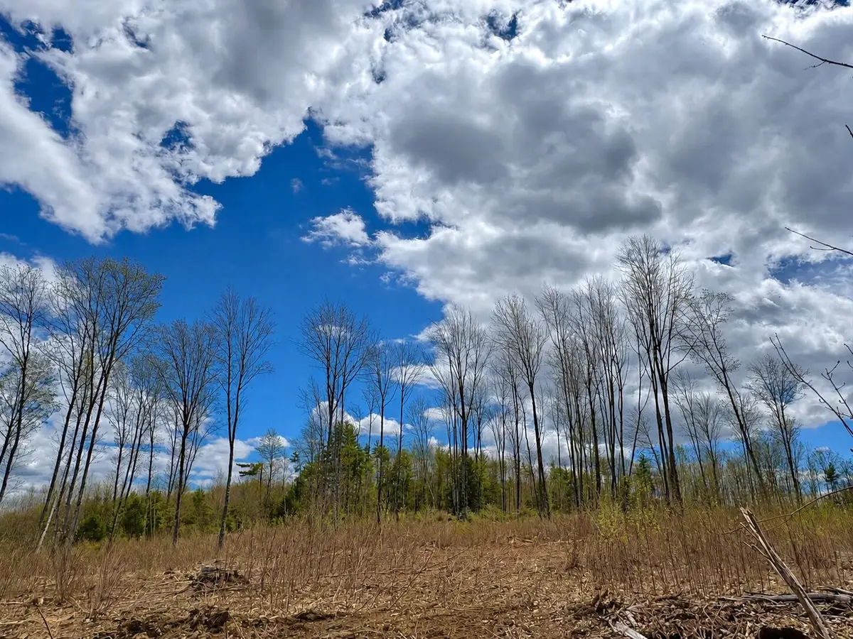 Lot #11 Jordan Heights Road, Cornish, ME 04020 - #1