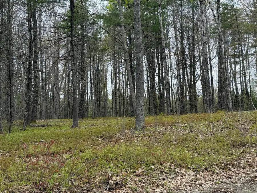 22 Albert Jones Road, Washington, ME 04574 - #2