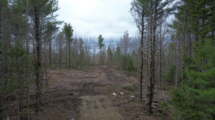 M 3  L13/6 Number Nine Road, Orient, ME 04471 - #2