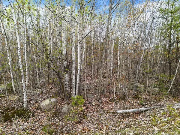Lot #5 Murdock Place, Belgrade, ME 04917
