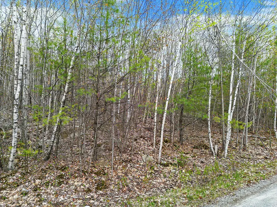 Lot #5 Murdock Place, Belgrade, ME 04917 - #3