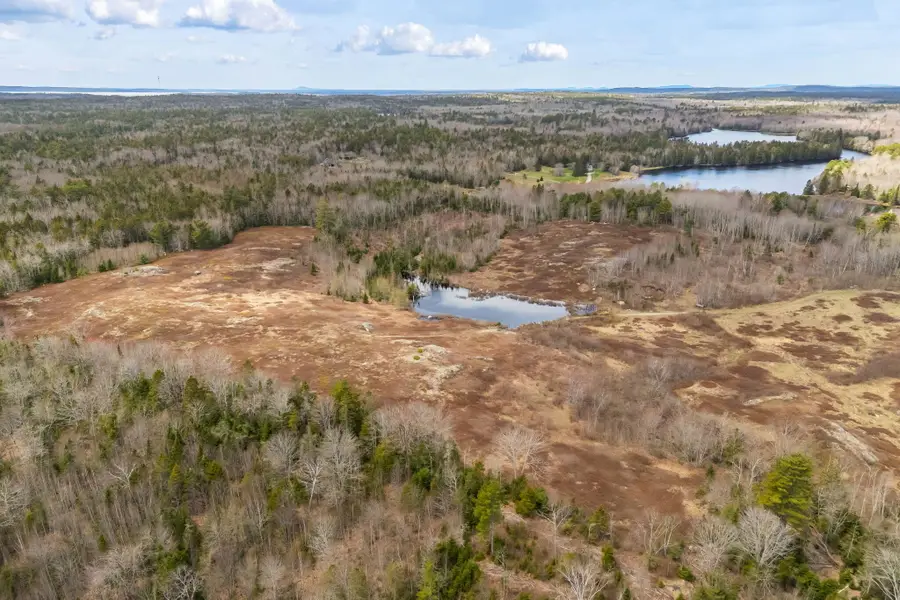 Lot #1A Guzzle Road, Gouldsboro, ME 04607 - #2