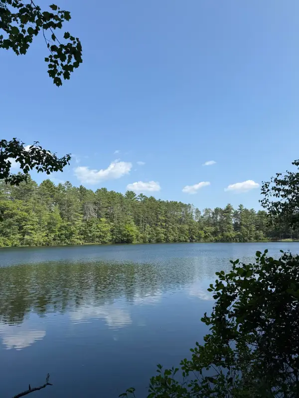 Lot 13 Old County Road, Oxford, ME 04270