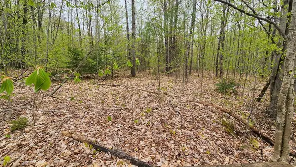 Lot 019 Olivewood Circle, Wilton, ME 04294