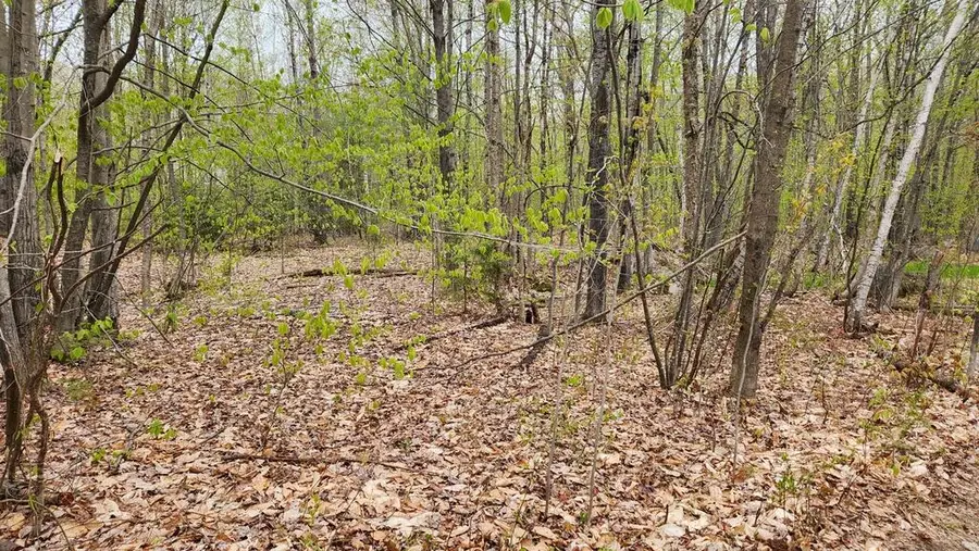 Lot 019 Olivewood Circle, Wilton, ME 04294 - #2