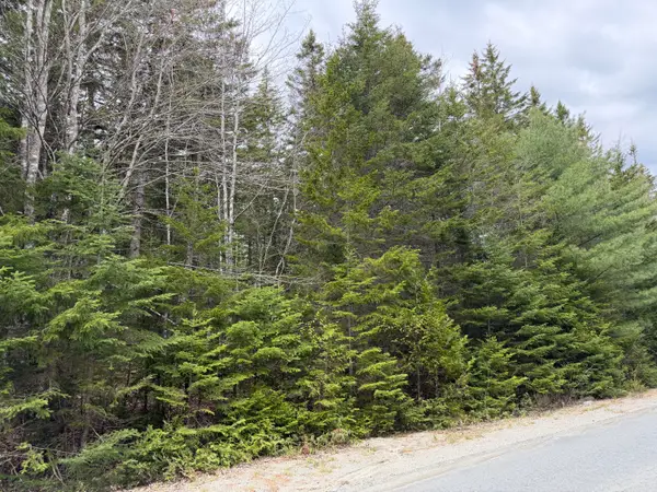2-C Gouldsboro Point Road, Gouldsboro, ME 04607