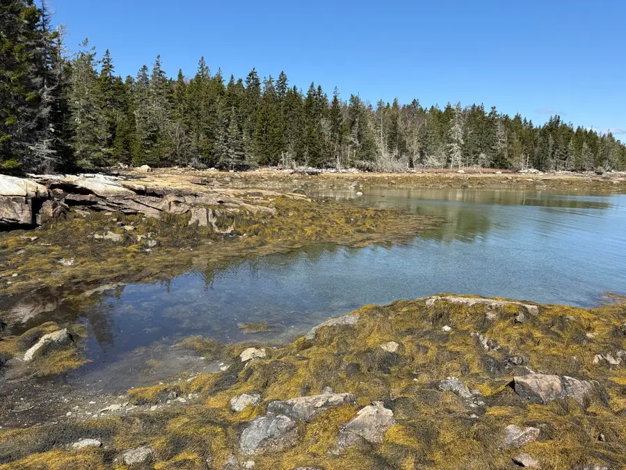 18 Jericho Bay Road, Swans Island, ME 04685 - #2