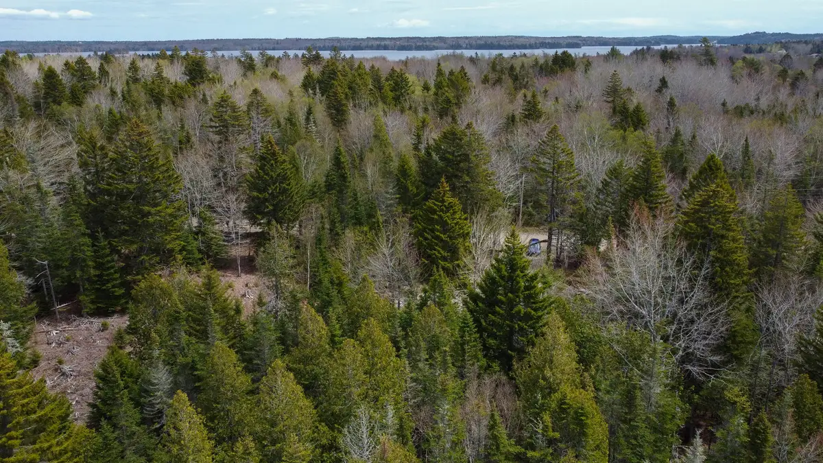 58 High Head Road, East Machias, ME 04630 - #1