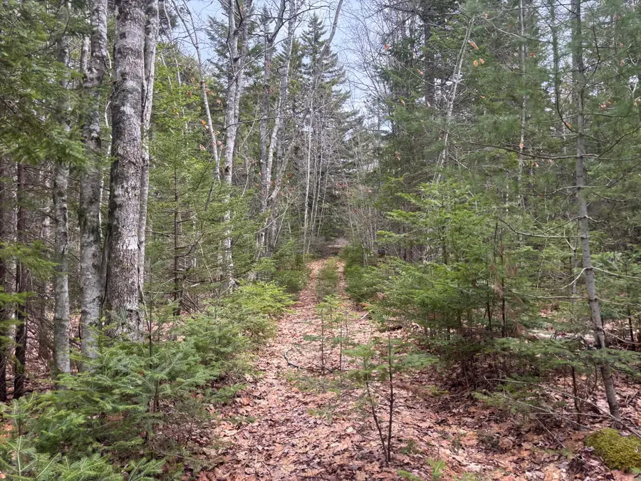 M11L17&17C Rogers Point Road, Steuben, ME 04680 - #3