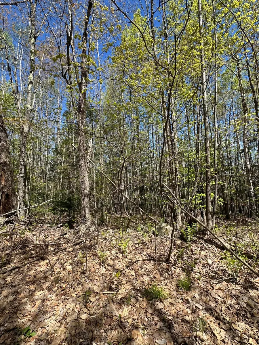 250 E Jay Road, Jay, ME 04239 - #2