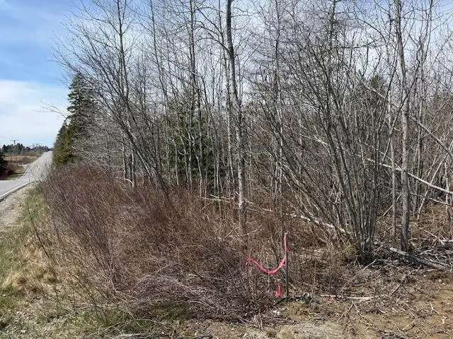 Lot 2 Holmes Bay Farms Road, Whiting, ME 04691 - #3