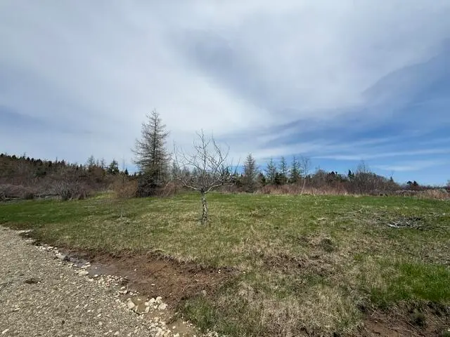 Lot 3 Holmes Bay Farms Road, Whiting, ME 04691 - #1