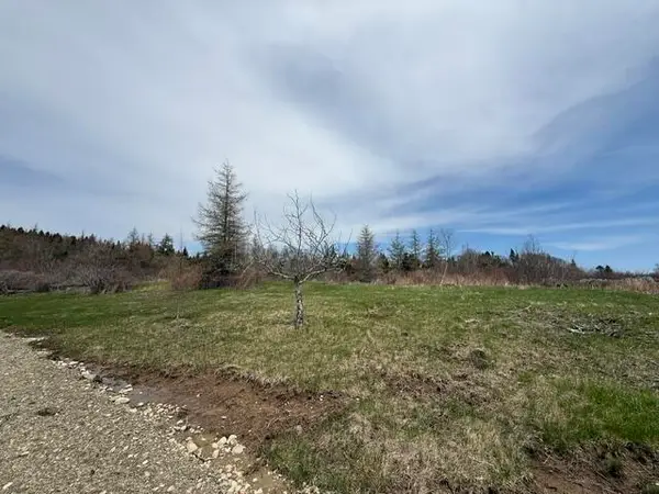 Lot 3 Holmes Bay Farms Road, Whiting, ME 04691