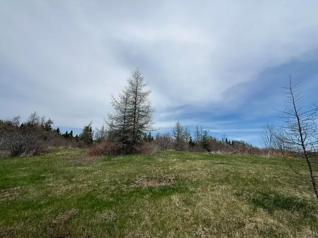 Lot 3 Holmes Bay Farms Road, Whiting, ME 04691 - #3