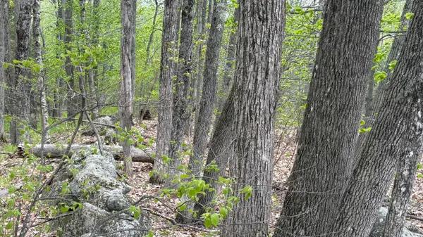 Lot #042 Tower Road #M 005 L 042, Vienna, ME 04360