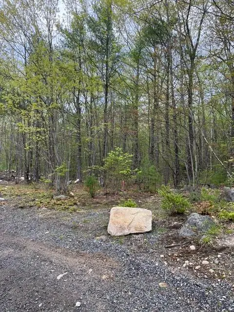 Parcel A Old Farnham Road, Alfred, ME 04002 - #1