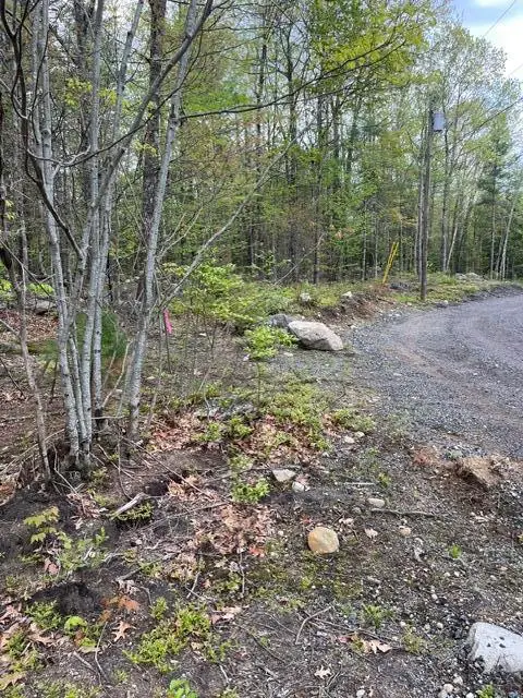 Parcel A Old Farnham Road, Alfred, ME 04002 - #2