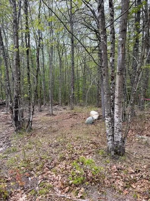 Parcel A Old Farnham Road, Alfred, ME 04002 - #3
