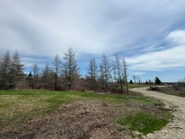 Lot 4 Holmes Bay Farms Road, Whiting, ME 04691 - #1