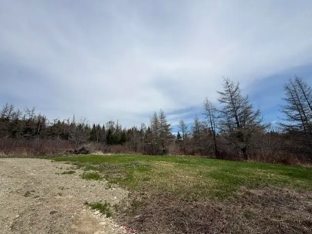 Lot 4 Holmes Bay Farms Road, Whiting, ME 04691 - #3