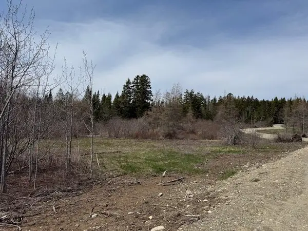 Lot 5 Holmes Bay Farms Road, Whiting, ME 04691