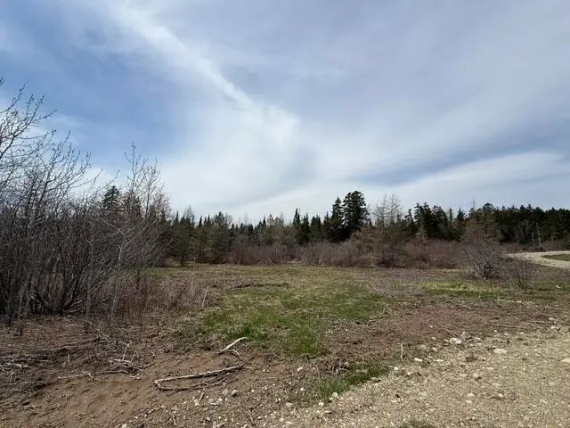 Lot 5 Holmes Bay Farms Road, Whiting, ME 04691 - #3