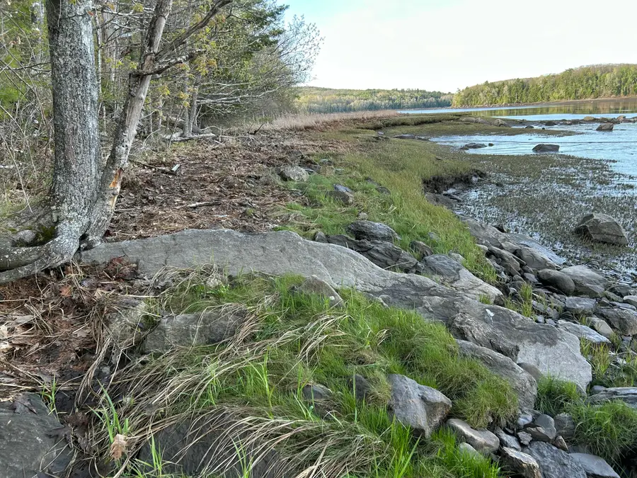 M46,L19,23 River Road, Bucksport, ME 04416 - #2