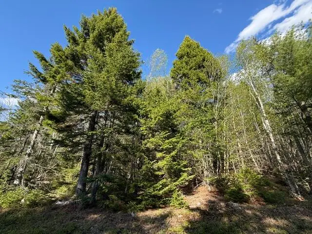 Lot 13 Pidgeon Point Road, Whiting, ME 04691 - #1