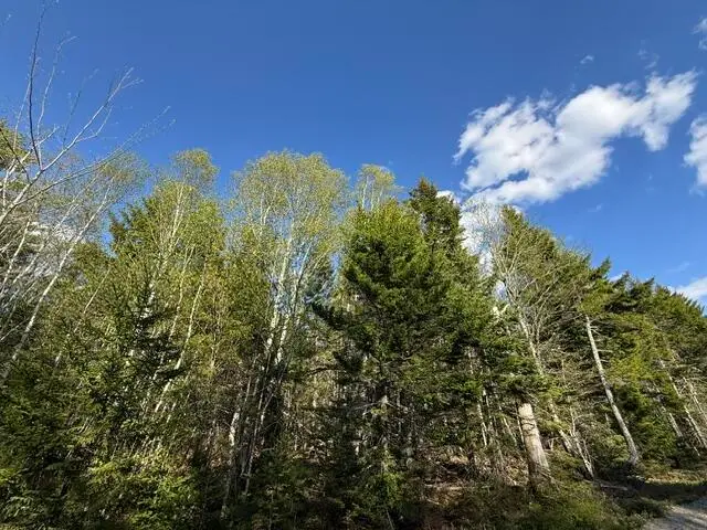 Lot 13 Pidgeon Point Road, Whiting, ME 04691 - #2