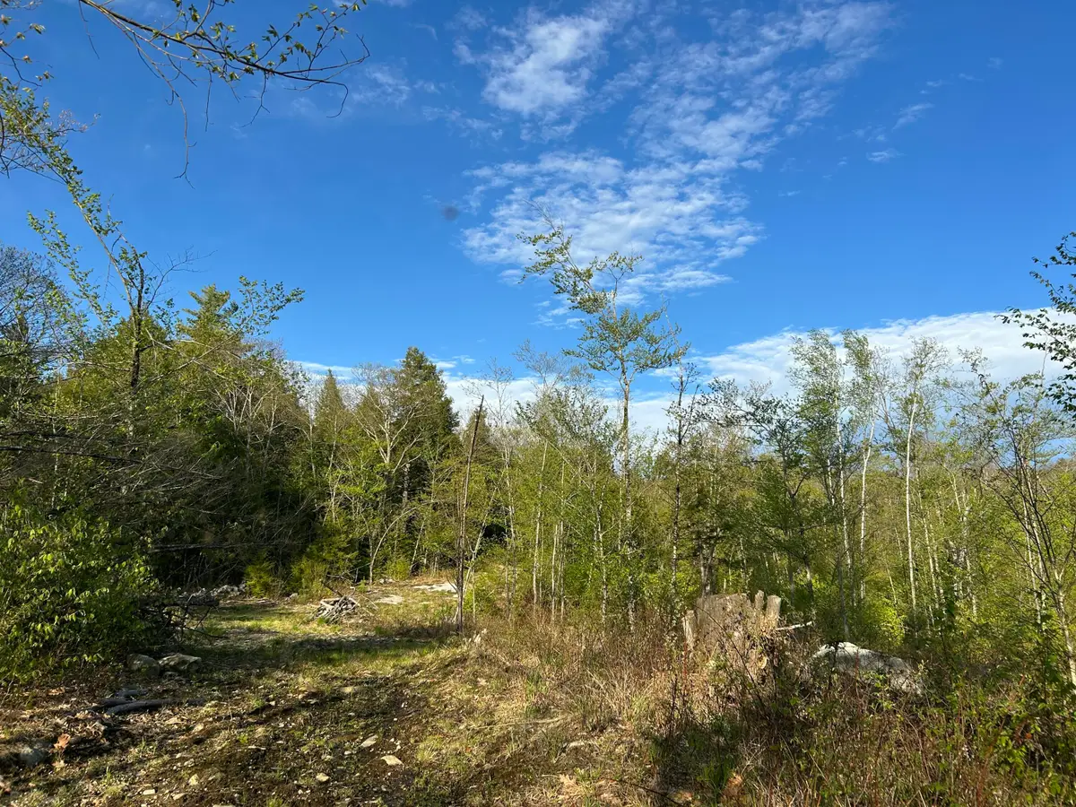 Map7Lot9 Wm Livermore Road, Fayette, ME 04349 - #1