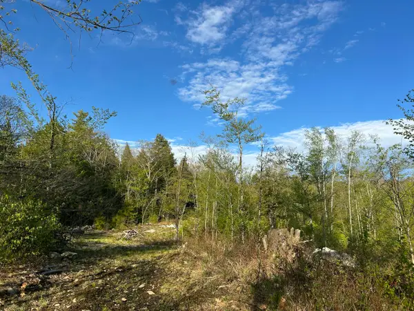 Map7Lot9 Wm Livermore Road, Fayette, ME 04349