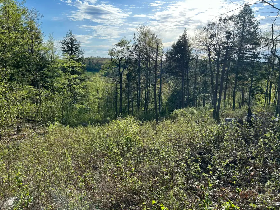 Map7Lot9 Wm Livermore Road, Fayette, ME 04349 - #3