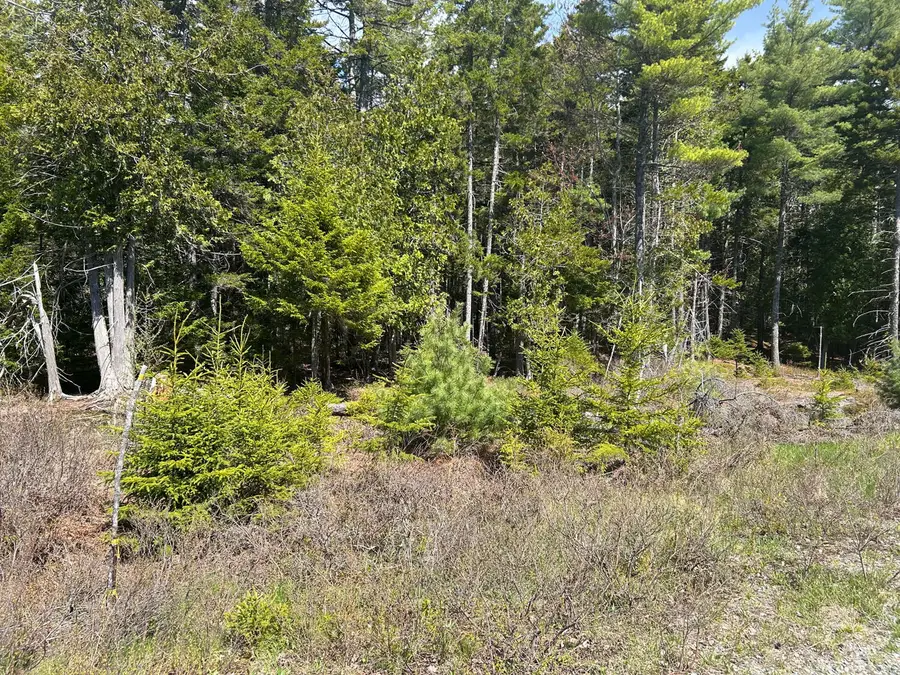 Address Withheld By Seller, Bar Harbor, ME 04609 - #3
