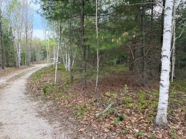 Lot #8 Thayer Road, Waltham, ME 04605 - #2